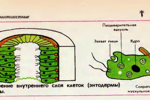 Даркнет заказ