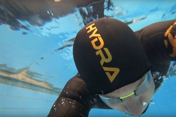 Kraken рабочий