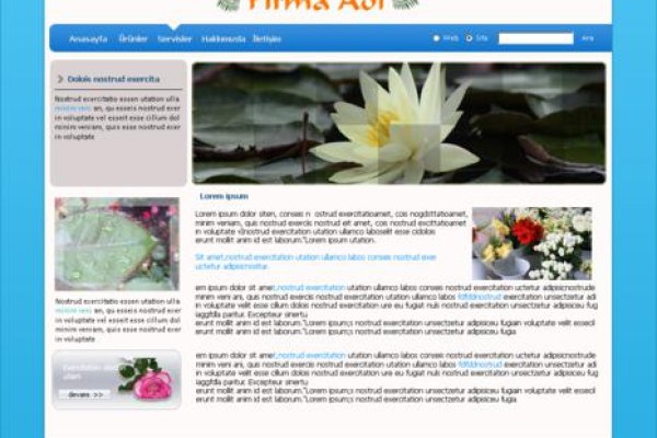 Ссылки на дарк нет