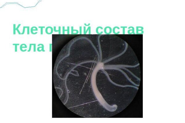 Kraken дарк магазин