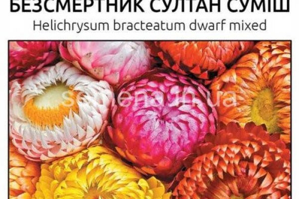 Kraken новая ссылка