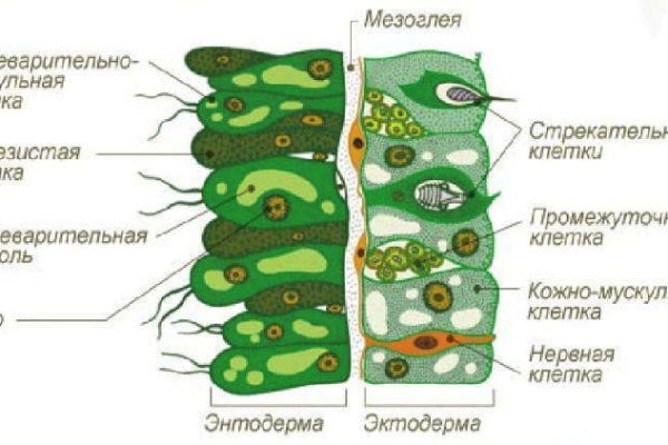 Кракен наркоторговец
