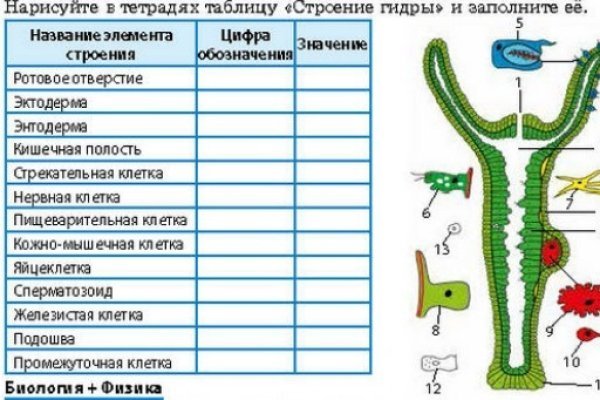 Кракен тор store