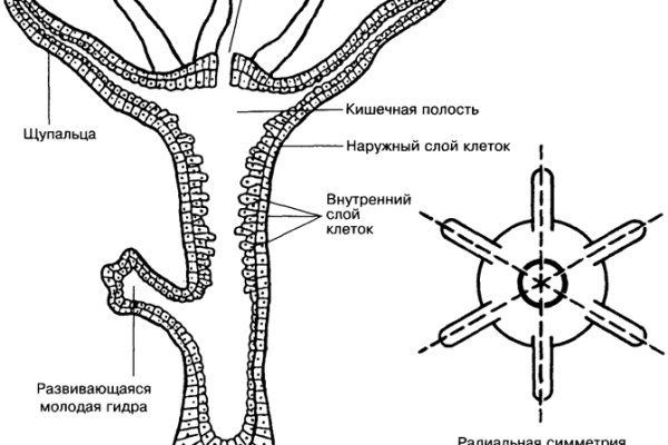 Kraken купить клад