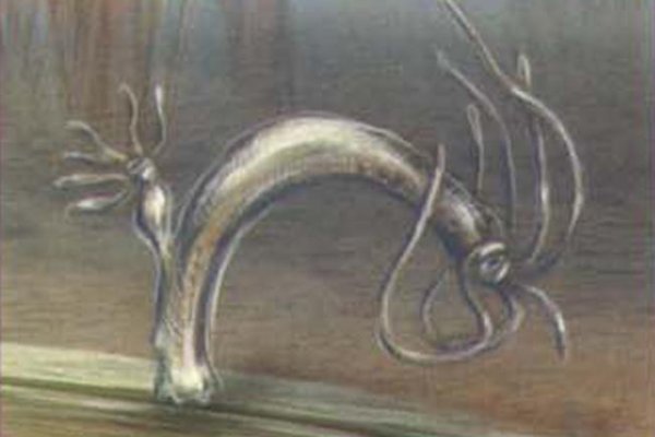 Кракен активная ссылка