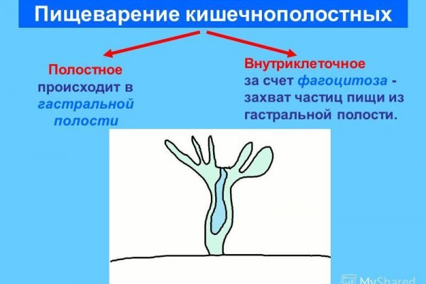 Кракен торговая