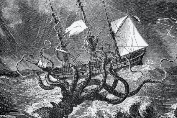 Kraken online