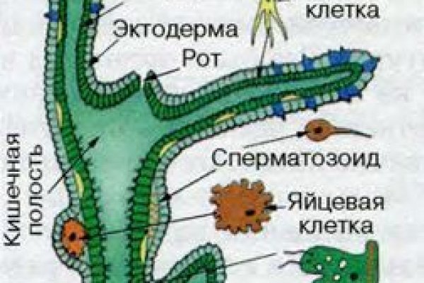 Сайты наркоты
