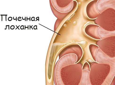 Kraken com зеркало